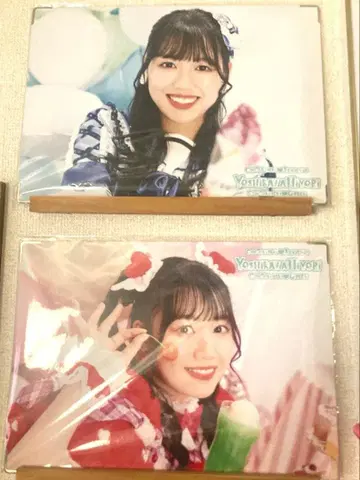 초 도키메키 선전부 요시카와 히요리 보드 2장 세트