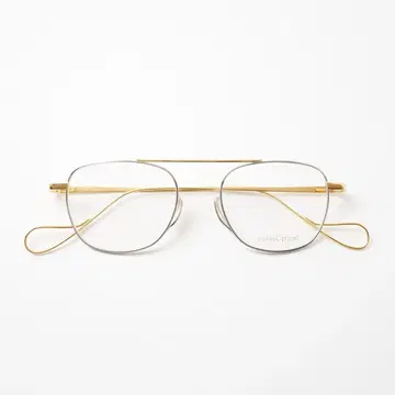 BuddyOptical 버디옵티컬 gis