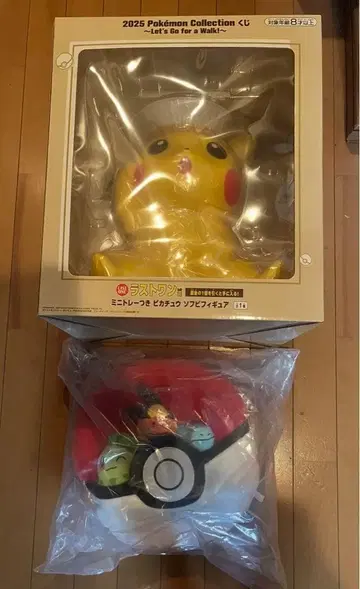 제일복권 포켓몬 컬렉션 A상, 라스트 원상 2종 세트