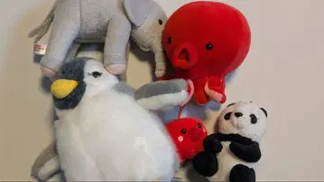 봉제 인형 세트