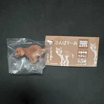 굼벵이 굼벵이 토이 푸들 1개 가챠가챠