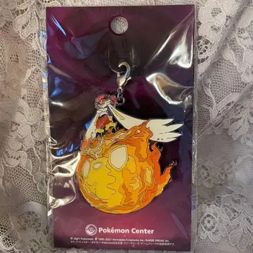 거다이맥스 에이스번 메탈 참 포켓몬