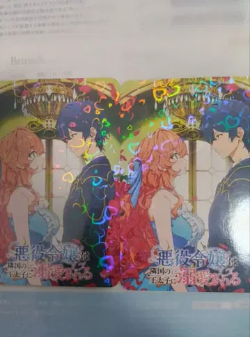 악역 영애는 이웃 나라 왕태자에게 휘둘린다 x 2장