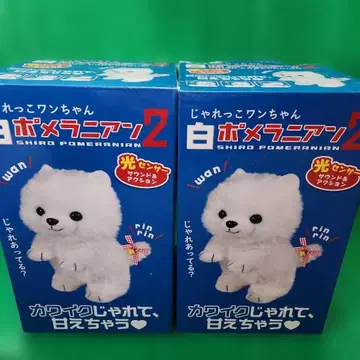 재롱 강아지 화이트 포메라니안 2 세트