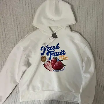 SUNSUN 스 후드티 L GU