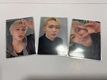 THE LAST PIECE 트레이딩 카드 RAIKI 라이키 3장 세트