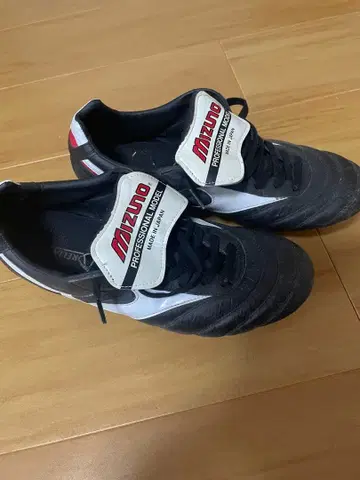 Mizuno Professional Model 축구화