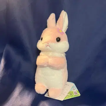 우사칫치 모못치 ST 사이즈 봉제 인형 토끼 미사용 새상품 핑크