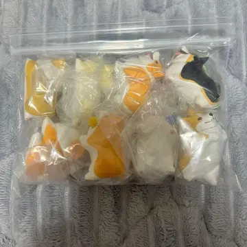 코기 산책 전 8종 코기 컴플리트