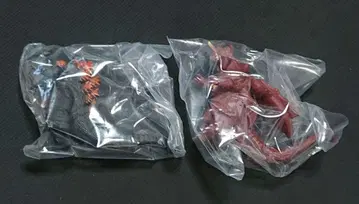 고질라 진격대전 버닝고질라 디스트로이어