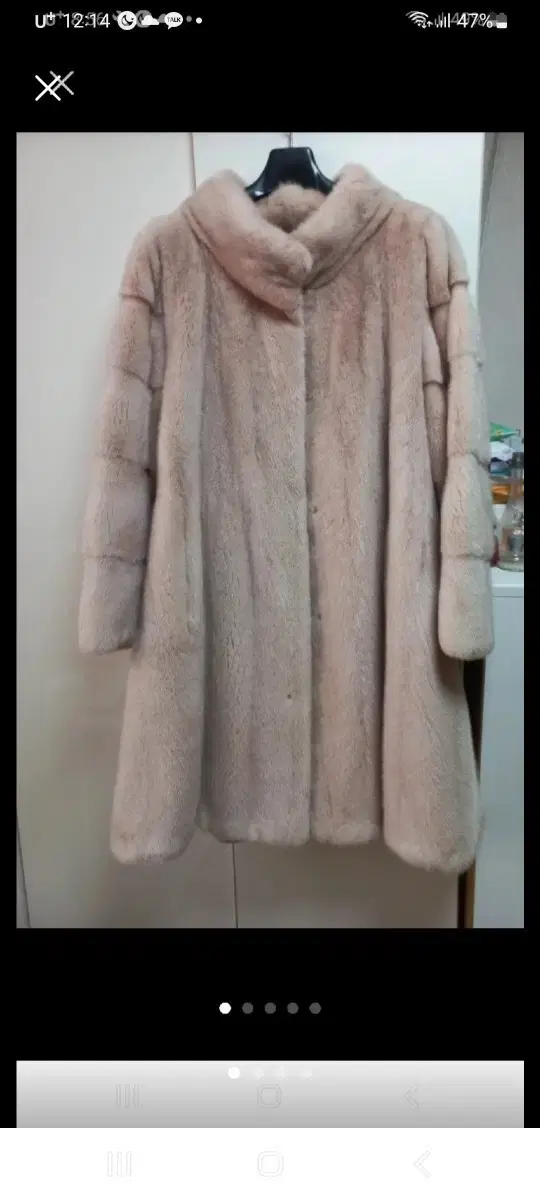 Mink coat