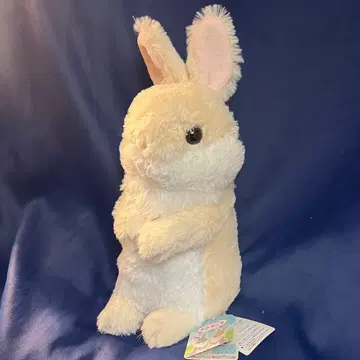 우사칫치 바닐라칫치 약 37cm 봉제 인형 흰 토끼 미사용 새상품 토끼