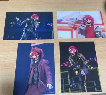 바우군 실사 브로마이드