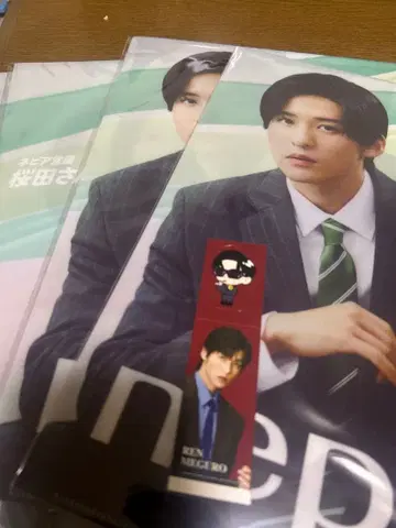 네피아 클리어 파일 메구로 렌