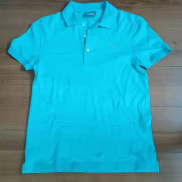 LACOSTE 피케 셔츠 사이즈 2