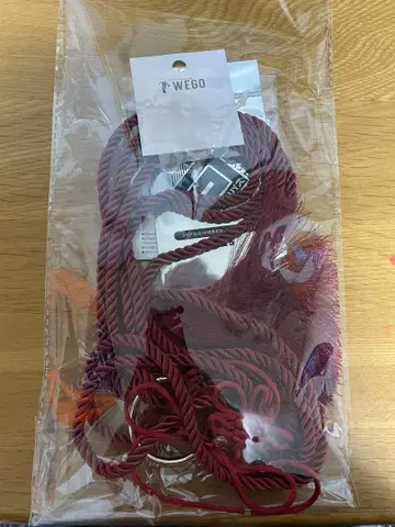 컴퍼스 WEGO 콜라보 뒷태슬 벨트