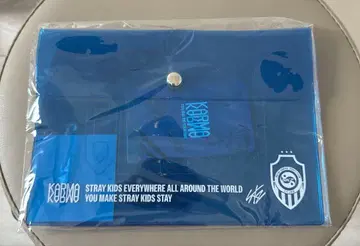 Stray Kids KARMA POPUP 스키즈 PVC 파우치 리노
