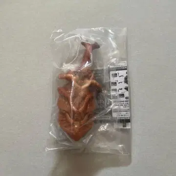 생물대도감 장수풍뎅이07 온라인판 [ 야마토장수풍뎅이 번데기 ]