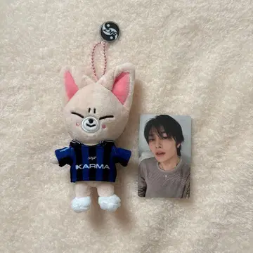 straykids KARMA SKZOOver. 폭시니 봉제 인형