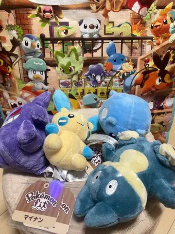 포켓몬 fit 3종 세트