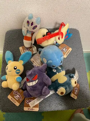 포켓몬 fit 6개 세트 일괄 판매