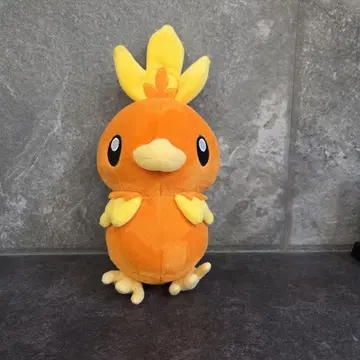 포켓몬 봉제 인형 아차모 약 25cm