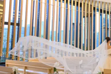 웨딩 베일 롱 타입 무지