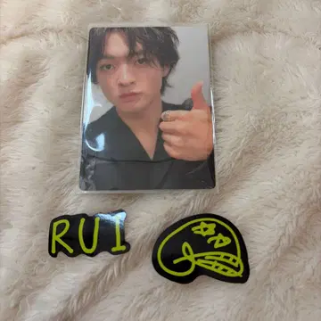 [ 익명 배송 ] 라스피 루이 트레이딩 카드 스티커 세트