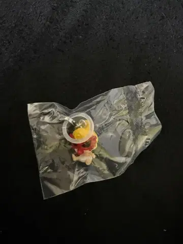 HYSTERIC MINI 메지루시 액세서리