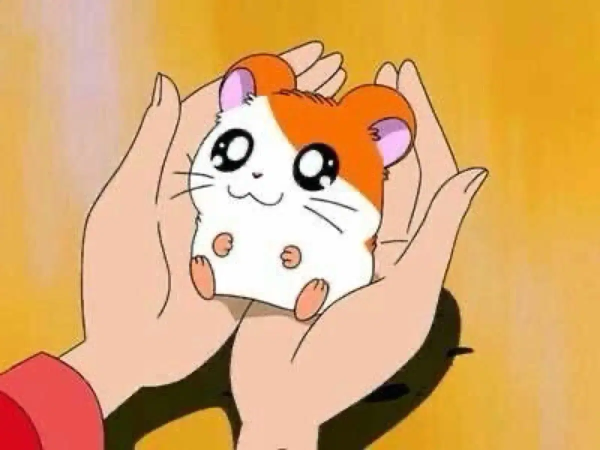 KkulKkulzz's Secure Payment Exclusive Window