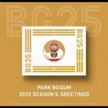 Park Bo Gum 2025 Season's Greetings