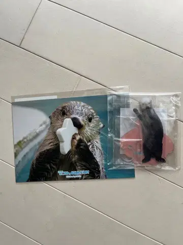 캡슐 복권 배송비 포함