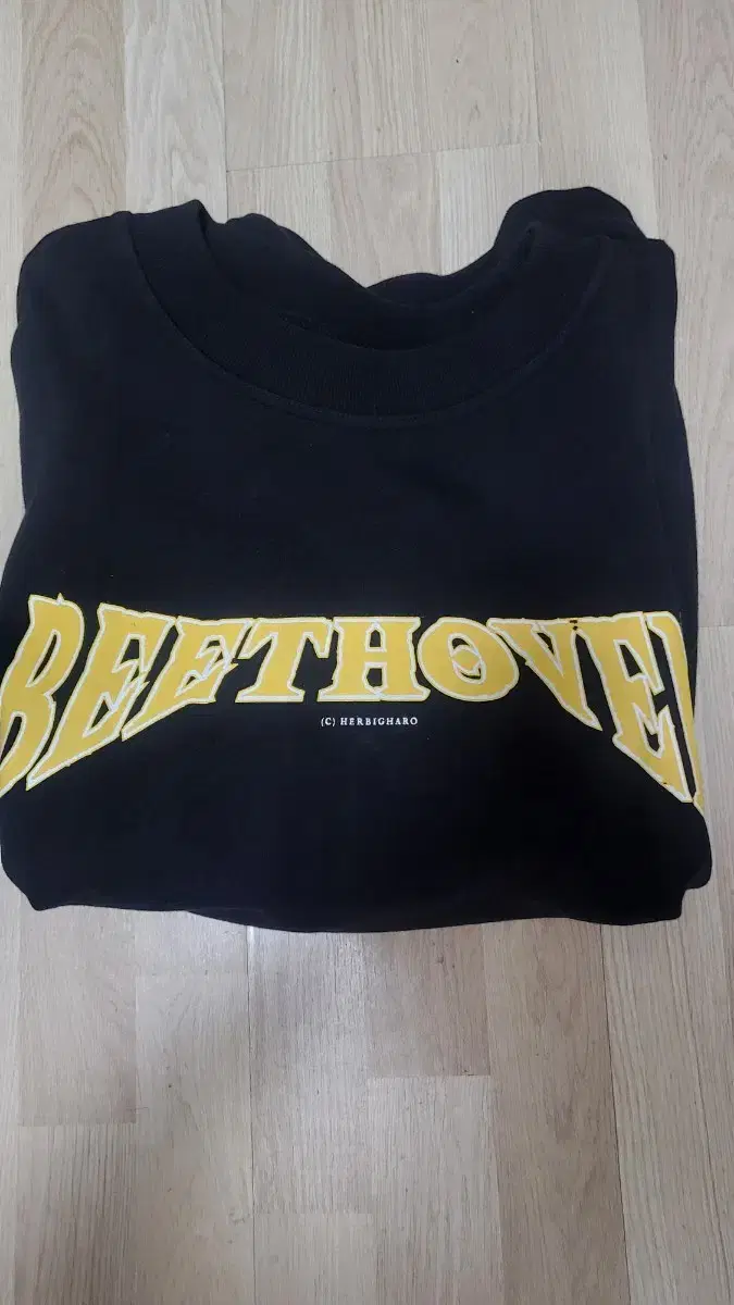 Park Hyo Shin Beethoven Sweatshirt