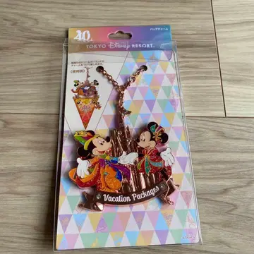 도쿄 디즈니 리조트 아크릴 키링