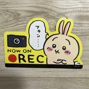 치이카와 (먼작귀) 토끼 카 마그넷