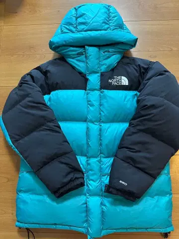 THE NORTH FACE 다운 자켓 550