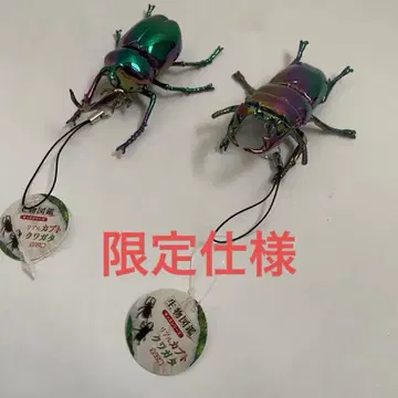 생물 도감 리얼 가부토 사슴벌레 오로라 한정품