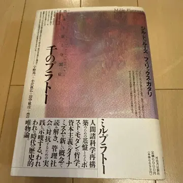 천 개의 플래토