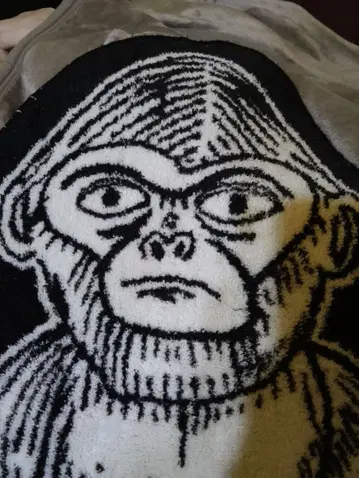 더 크로마뇽즈 타카하시 요시오 매트 크로마뇽즈