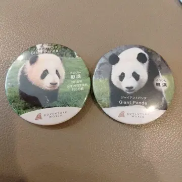 어드벤처 월드 팬더 캔뱃지 채빈 풍빈 세트