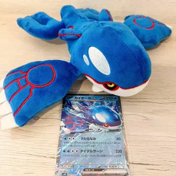 포켓몬 fit 카이오가 봉제 인형 포켓몬 센터 포켓몬 카드 카이오가ex