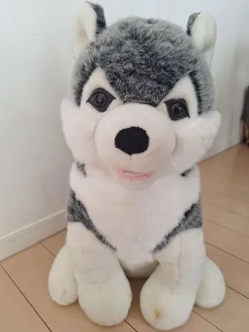 허스키 봉제 인형