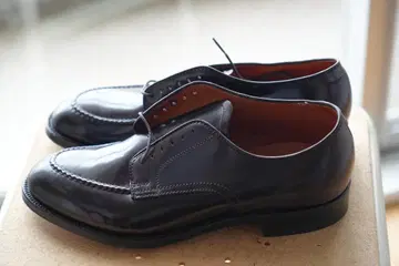 Alden 알든 코도반 8D 옥스퍼드 미사용