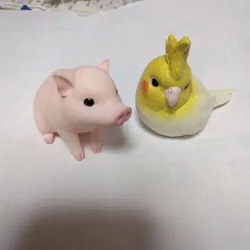 테노리 프렌즈 오카메앵무 돼지 합계 2점