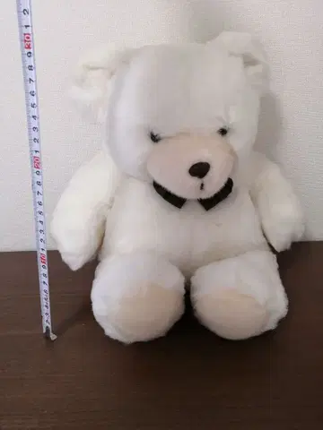 화이트 곰 봉제 인형