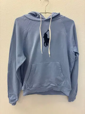 폴로 말 자수 라이트 블루 후드티