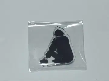 사에구사 아키나 함께 보기 아크릴 블록