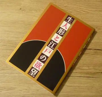 도서 [생인형과 에도의 욕망 반근대의 역습 II] 구마모토시 현대미술관