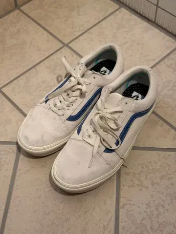 VANS comfycush 화이트/블루 스웨이드 스니커즈