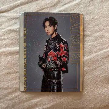 EXILE THEREASON 호리 나츠키 포토 카드 시크릿